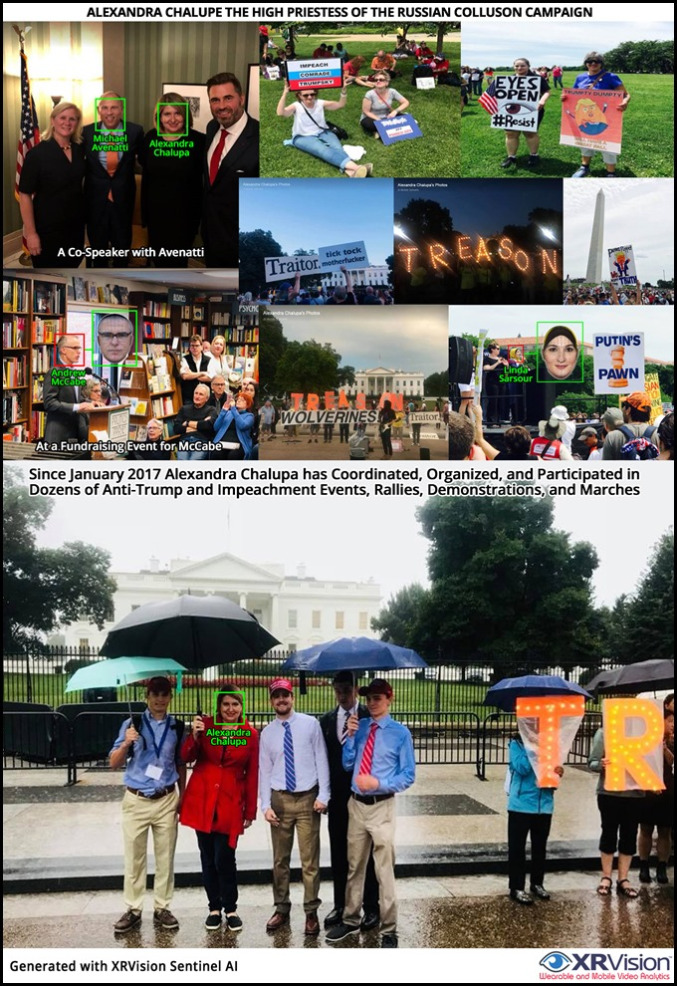 Alexandra Chalupa and Trump Impeachment