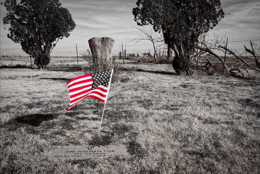  Veterans Day: from deceit to liberty