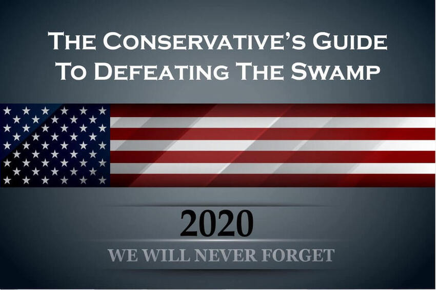  The Conservative’s Guide to Defeating The Swamp