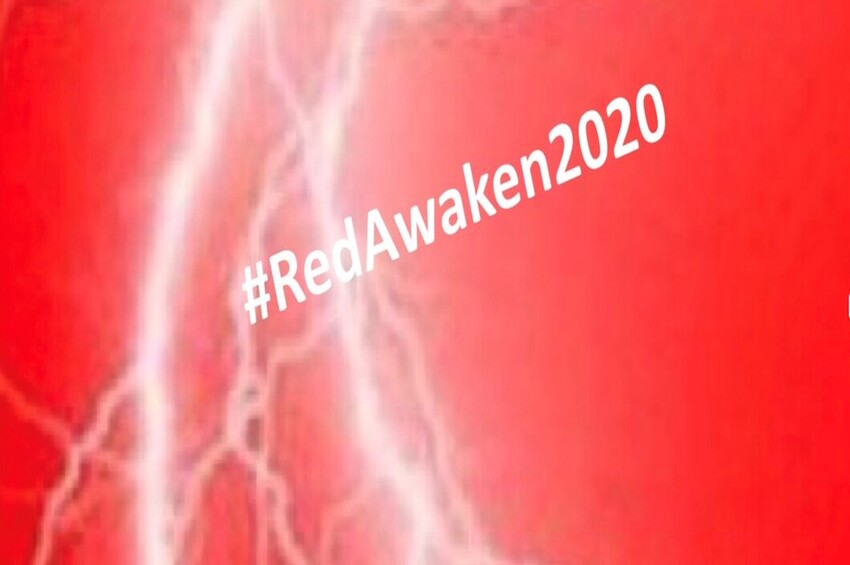  Who and What is RedAwaken2020 on Twitter
