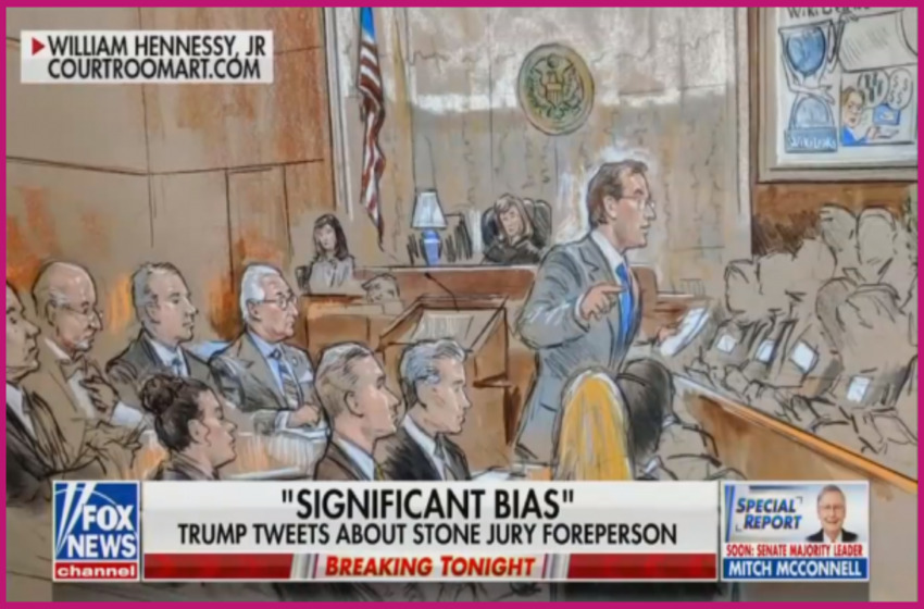 Political Bias of Lead Stone Juror EXPOSED, Nets Respond With Blackout