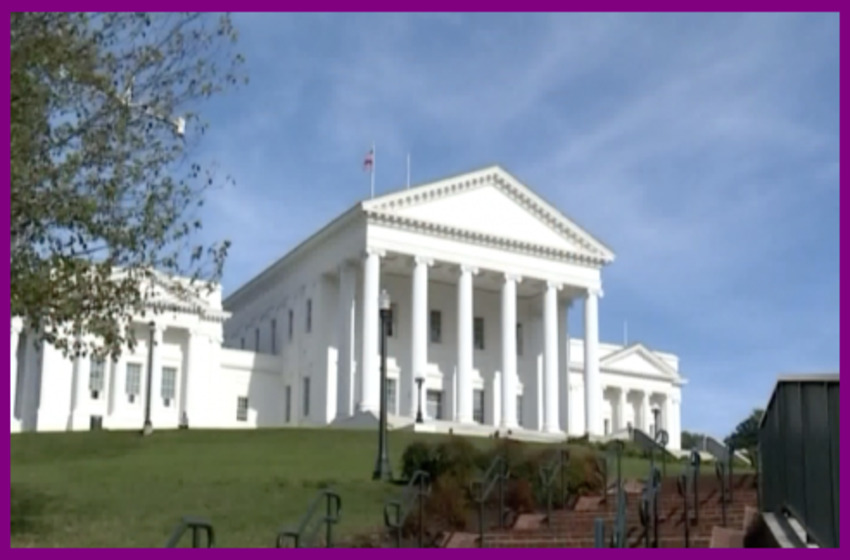 WATCH: VA House Passes Gun Ban Bill: ‘Taking Your Gun, This Bill Will Do That