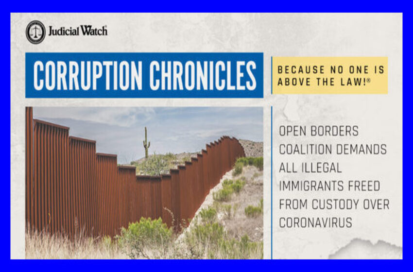  Open Borders Coalition Demands All Illegal Immigrants Freed from Custody Over Coronavirus