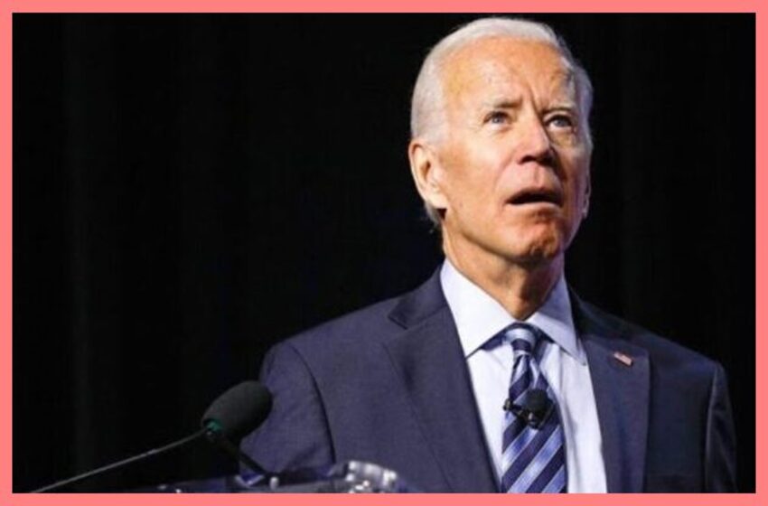 ‘One Horse Pony’; Joe Biden Mocks FNC’s Doocy for Asking Him About Hunter