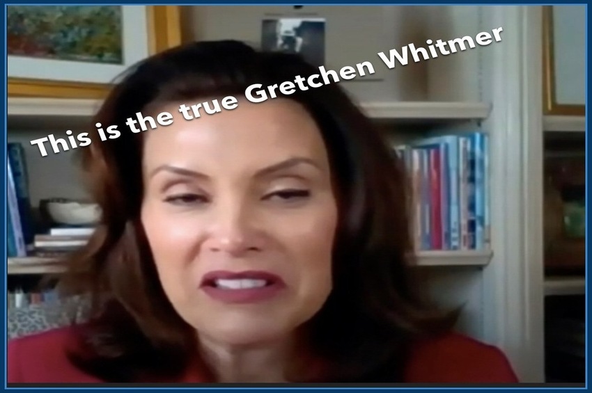 Governor Gretchen Whitmer, “They’re domestic terrorists”