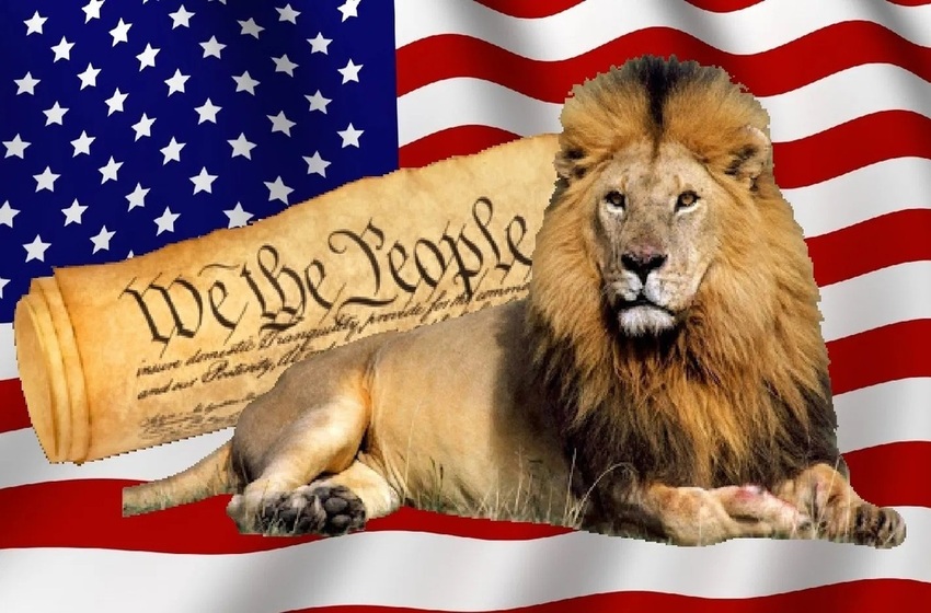 What Did We Learn from the Election?