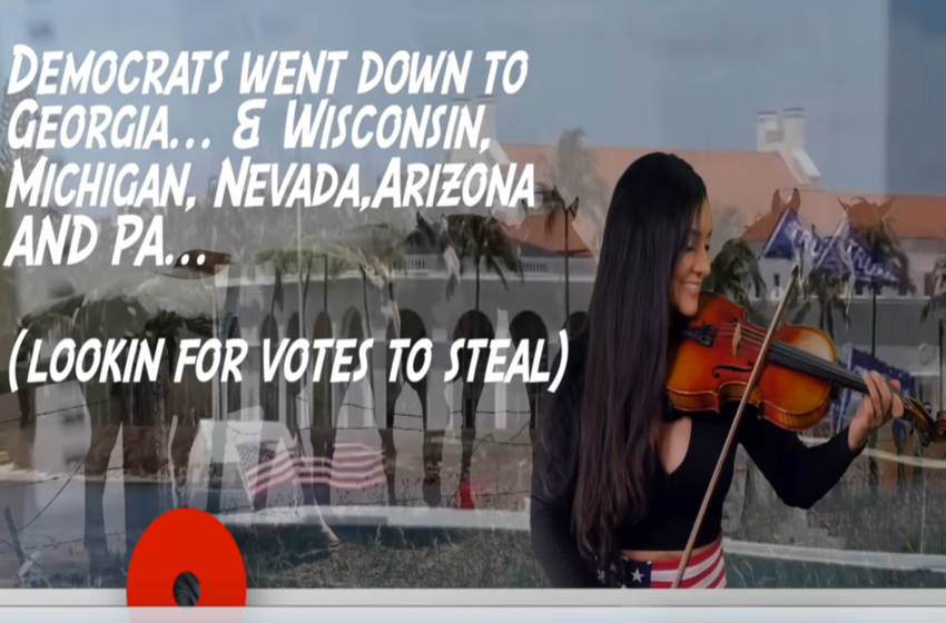 Dems Went Down To Ga, WI, MI, AZ, NV and PA Looking for some V-O-T-E-S to Steal
