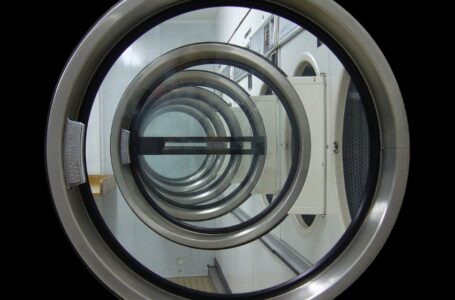 Laundering with Immunity: The Control Framework – Part 1