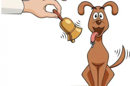 Google Introduces Internet Behavior Modification (Not Satire)